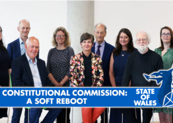 The Constitutional Commission: A Soft Reboot