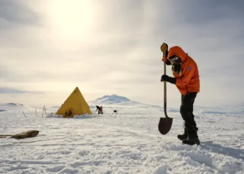 Would an independent Wales have an Antarctic policy?