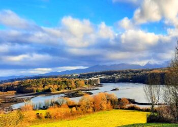 Senedd 2026 Constituency Profiles: Bangor Conwy Môn